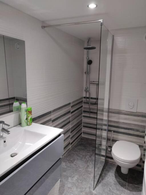 Le Business, Duplex Moderne Special Pro De Passage Leilighet Sarreguemines Eksteriør bilde