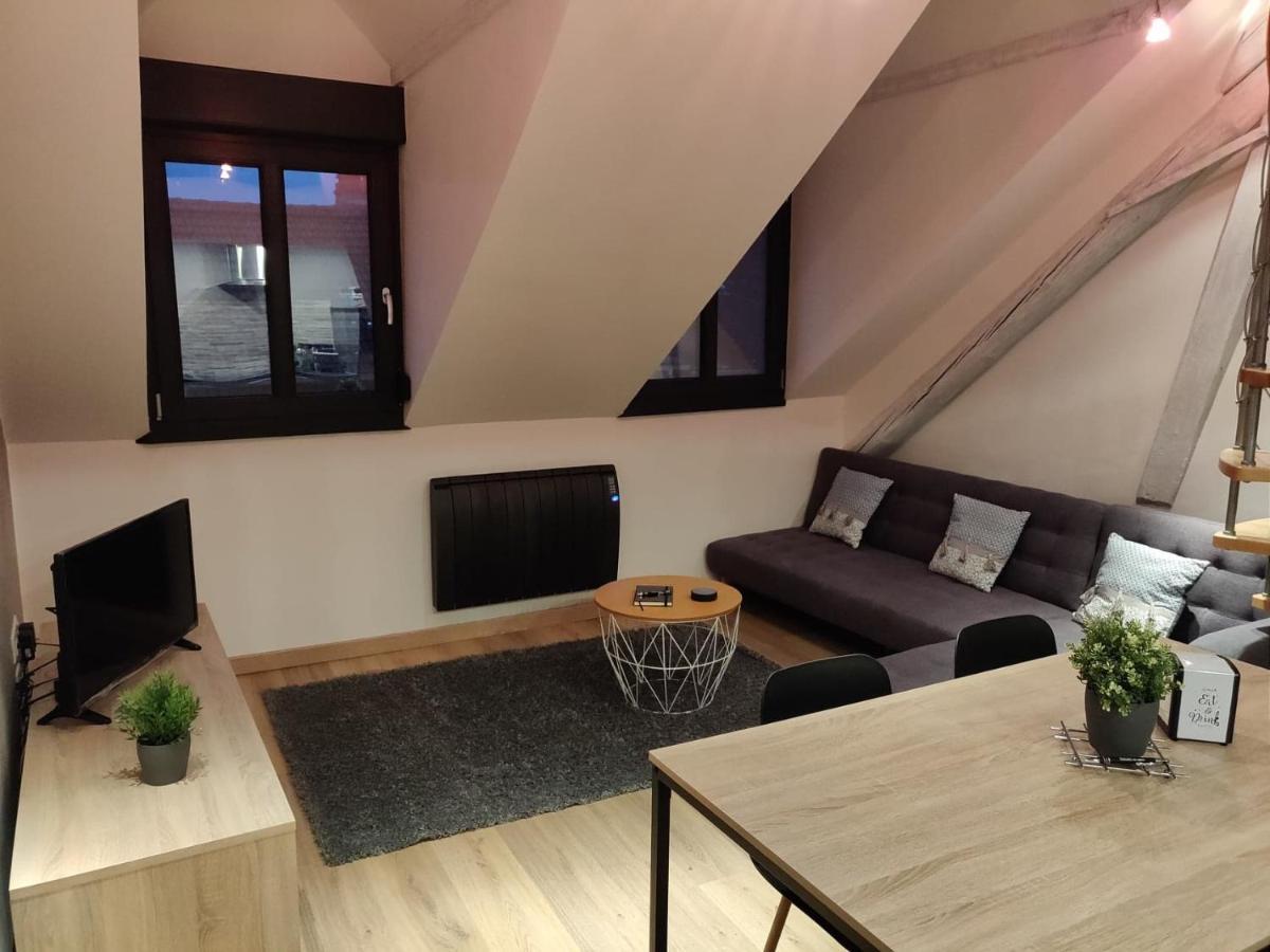 Le Business, Duplex Moderne Special Pro De Passage Leilighet Sarreguemines Eksteriør bilde